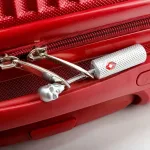 cadenas sécurité valise skull
