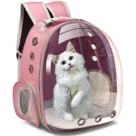 sac grande bulle pour chat