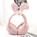 cache oreille animal lapin