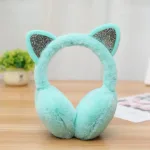 cache oreille chat