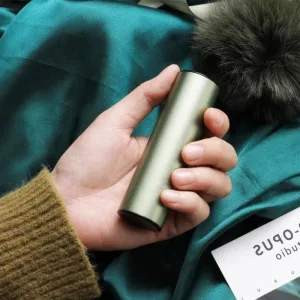 chaufferette rechargeable