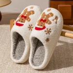 chaussons décorés pour les fêtes Biscuit