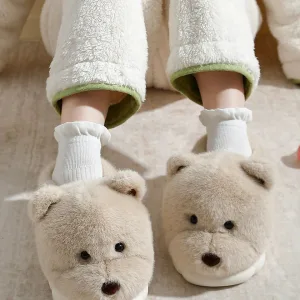 chaussons douceur canine