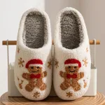 chaussons festifs pour Noël Biscuit