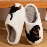 chaussons pour chien teckel