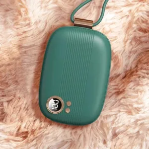 chaufferette électrique